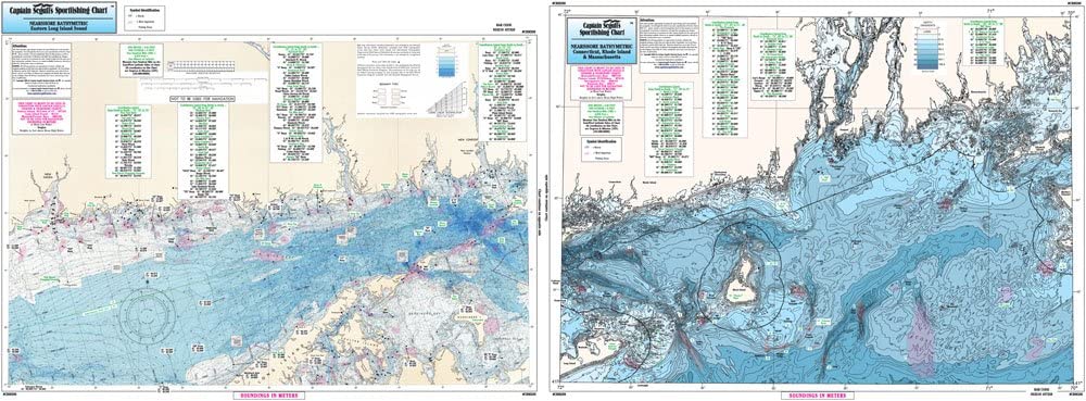 CAPTAIN SEGULL'S NAUTICAL CHART