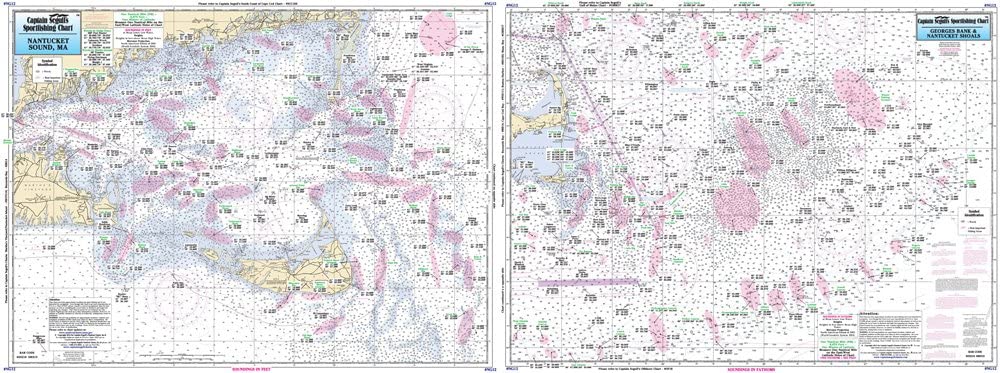 CAPTAIN SEGULL'S NAUTICAL CHART